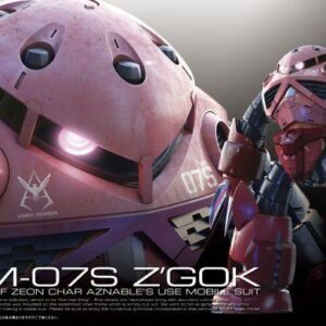 RG - MSM-07S Z'Gok (Char Custom)