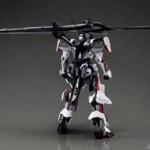 PB - HG - MHF-01Ω Load Astray Ω (Omega) - Afbeelding 4