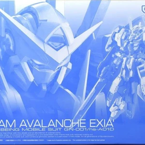 PB - RG - GN-001/hs-A01D Gundam Avalanche Exia'